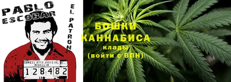 Марихуана OG Kush  Избербаш 